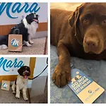 Hotel Residence Mara