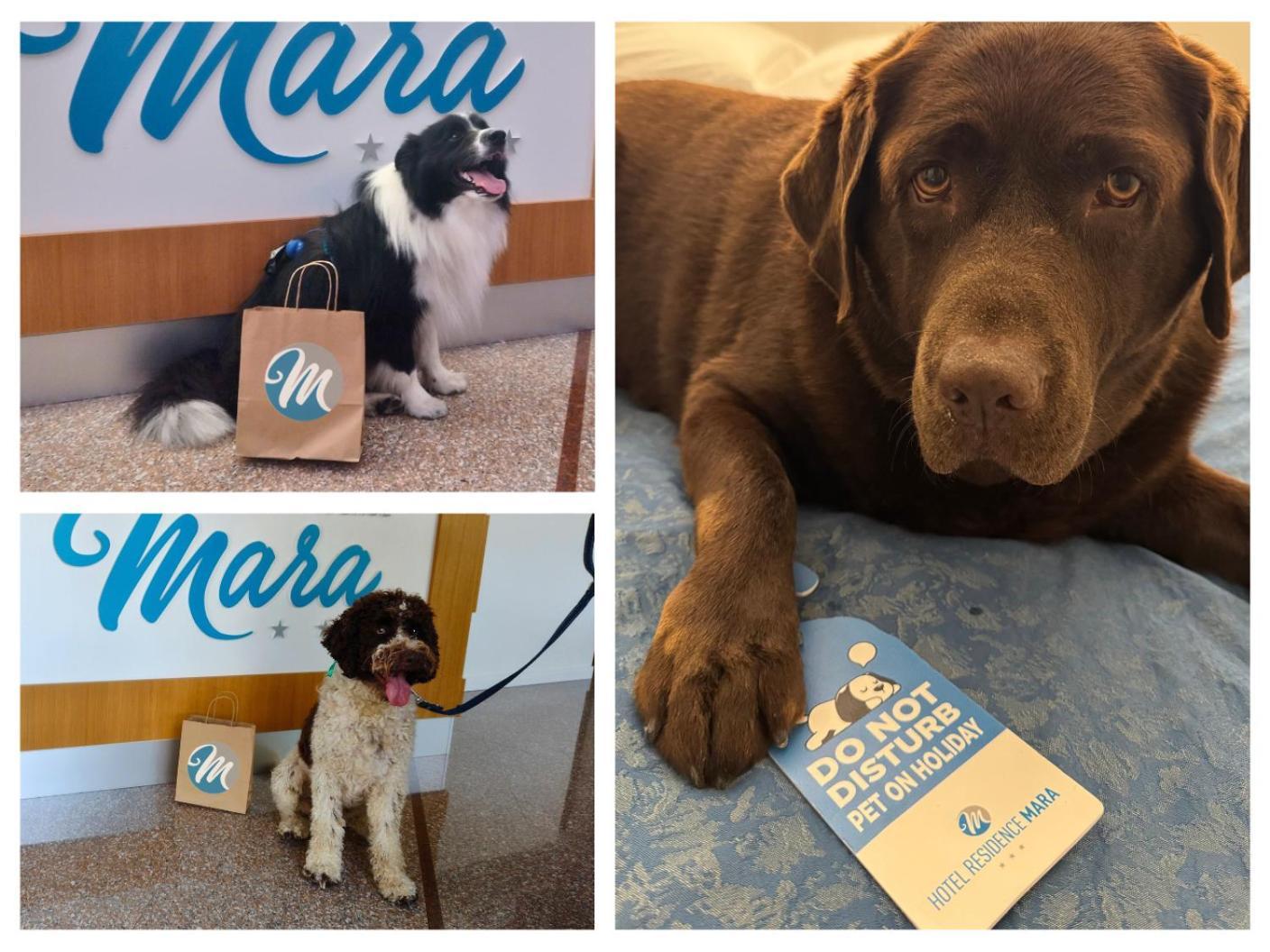 Mara Hotel Lido di Jesolo